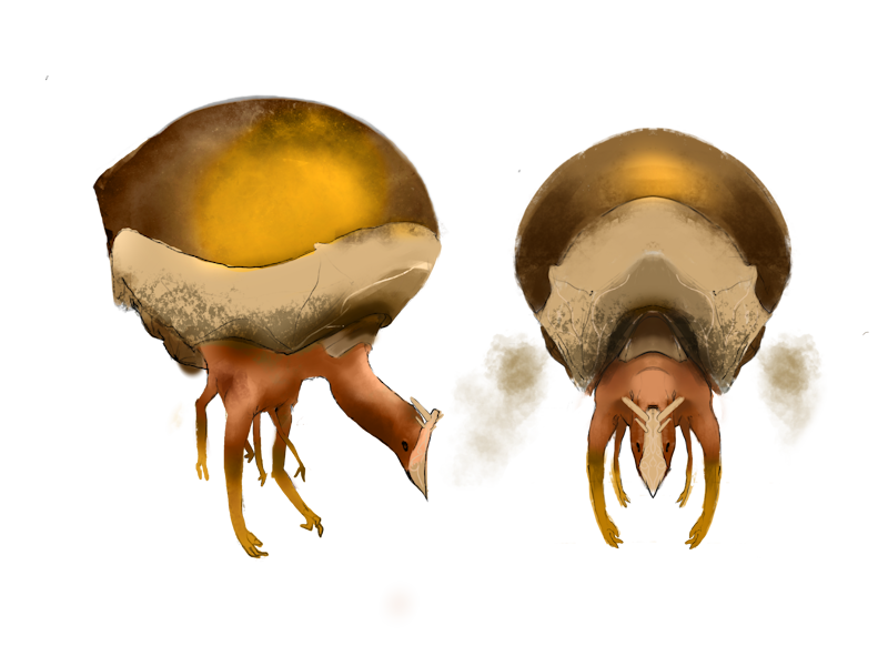 Two Xalofan, lighter-than-air trader beings with mushroom-cap bodies
